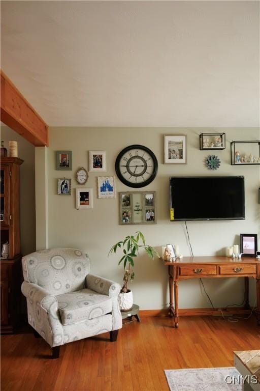 95 Briarcliff Dr, Veteran, NY 14845 - living room featuring wood finished floors and baseboards