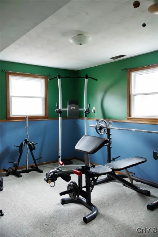 95 Briarcliff Dr, Veteran, NY 14845 - workout area with carpet floors