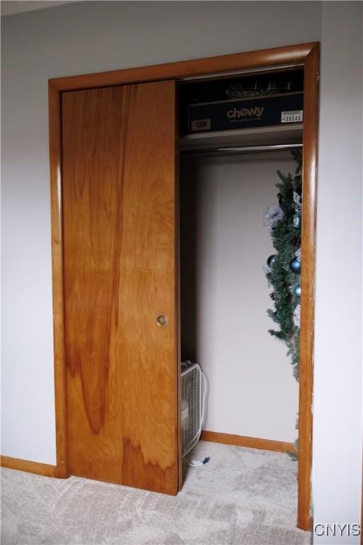 95 Briarcliff Dr, Veteran, NY 14845 - view of closet