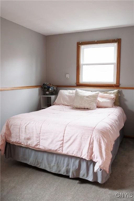 95 Briarcliff Dr, Veteran, NY 14845 - view of carpeted bedroom