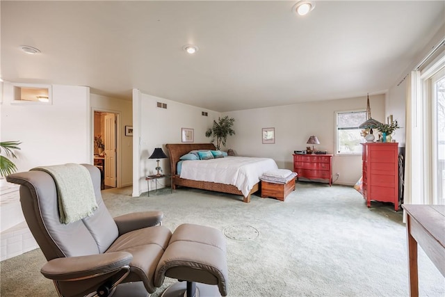 8508 Wickham Blvd, Sodus, NY 14555 - bedroom with light colored carpet