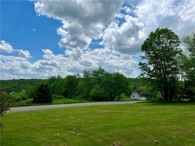 376 Upper Dutch Hill Rd, Milford, NY 13820 - view of green lawn with a wooded view