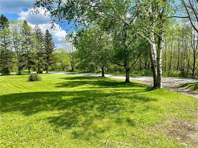 376 Upper Dutch Hill Rd, Milford, NY 13820 - view of green lawn