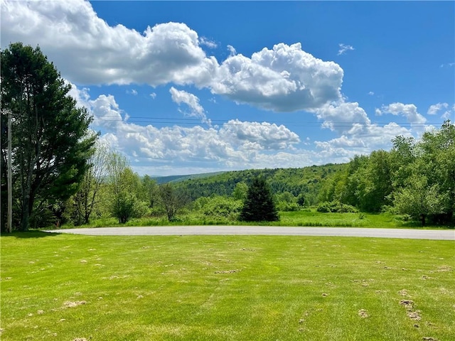 376 Upper Dutch Hill Rd, Milford, NY 13820 - view of grassy yard with a view of trees
