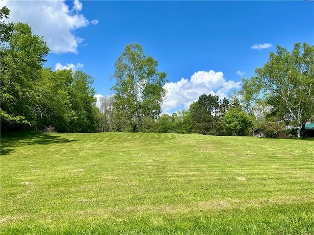 376 Upper Dutch Hill Rd, Milford, NY 13820 - view of green lawn
