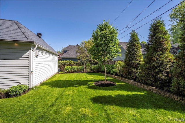 85 Windsor Ave, Buffalo, NY 14209 - view of yard