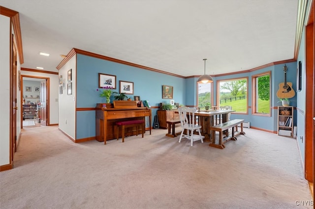 6924 Lebanon Rd, Lebanon, NY 13332 - carpeted dining area featuring ornamental molding and baseboards