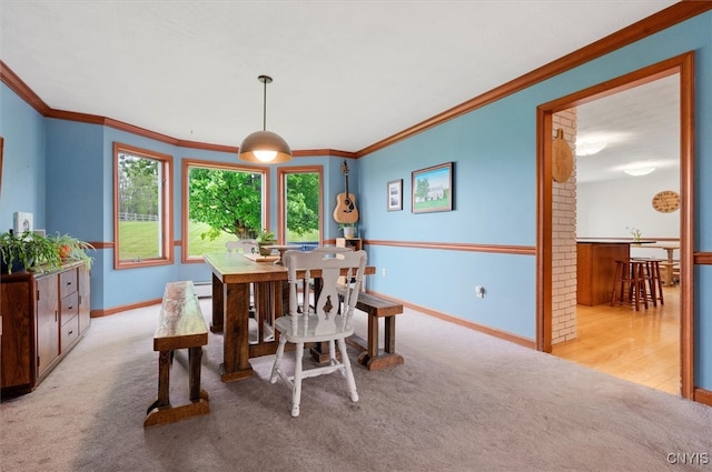6924 Lebanon Rd, Lebanon, NY 13332 - carpeted dining room featuring crown molding, baseboards, and baseboard heating