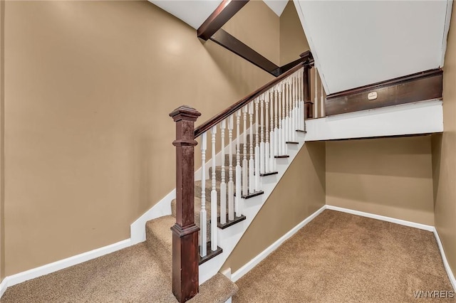 397 14th St, Buffalo, NY 14213 - stairway with carpet and baseboards