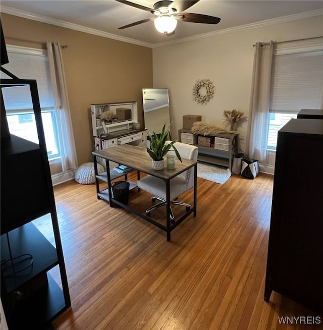 536 Potomac Ave, Buffalo, NY 14222 - dining area featuring crown molding, healthy amount of natural light, wood finished floors, ceiling fan, and a desk