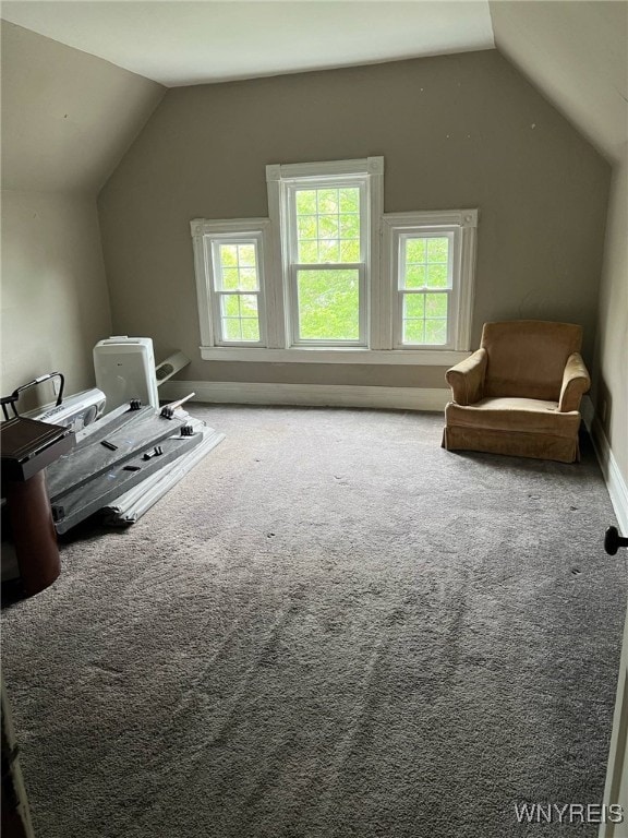 536 Potomac Ave, Buffalo, NY 14222 - bonus room featuring vaulted ceiling, carpet flooring, plenty of natural light, and baseboards
