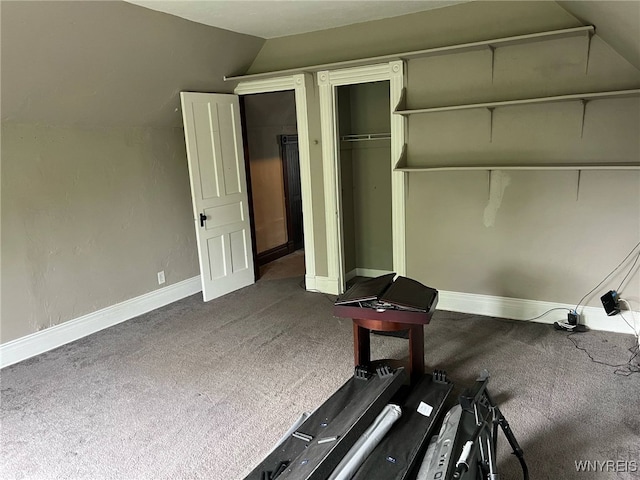 536 Potomac Ave, Buffalo, NY 14222 - exercise area featuring carpet floors, vaulted ceiling, and baseboards