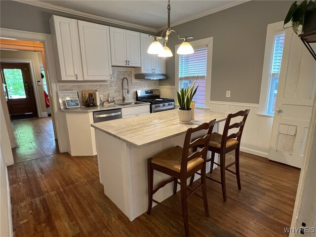536 Potomac Ave, Buffalo, NY 14222 - kitchen featuring a sink, stainless steel appliances, under cabinet range hood, plenty of natural light, and crown molding