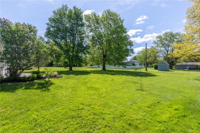 view of green lawn