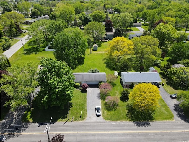 aerial view