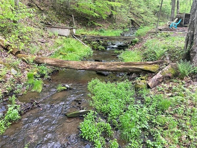 5749 Comfort Hollow Rd, Scio, NY 14880 - photo 24