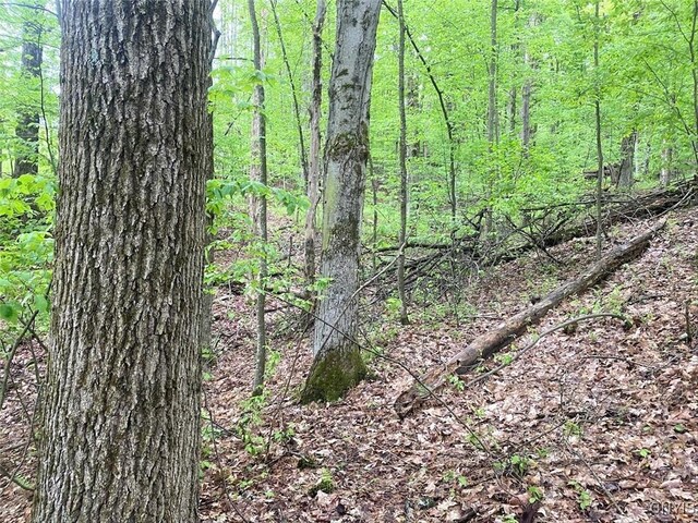 5749 Comfort Hollow Rd, Scio, NY 14880 - photo 25