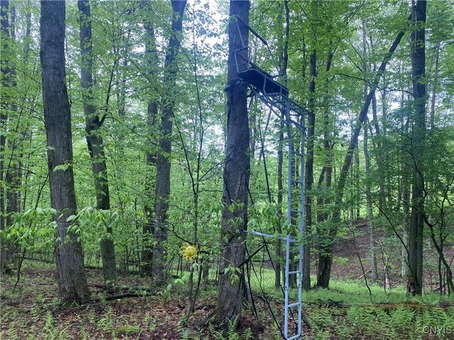 5749 Comfort Hollow Rd, Scio, NY 14880 - photo 26