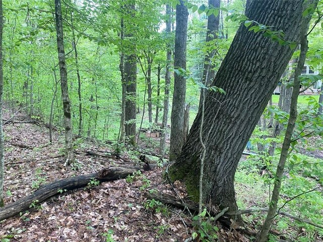 5749 Comfort Hollow Rd, Scio, NY 14880 - photo 27