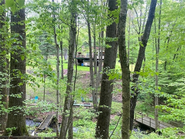 5749 Comfort Hollow Rd, Scio, NY 14880 - photo 28