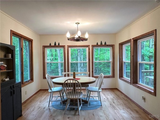 5749 Comfort Hollow Rd, Scio, NY 14880 - photo 7