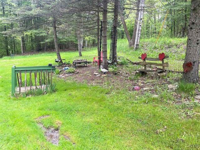 5749 Comfort Hollow Rd, Scio, NY 14880 - photo 17