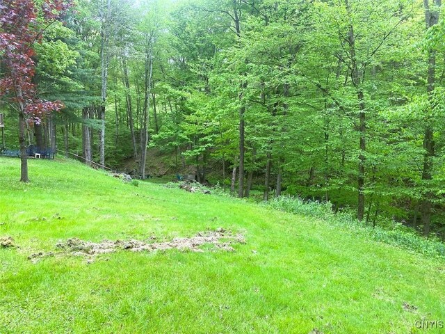 5749 Comfort Hollow Rd, Scio, NY 14880 - photo 19