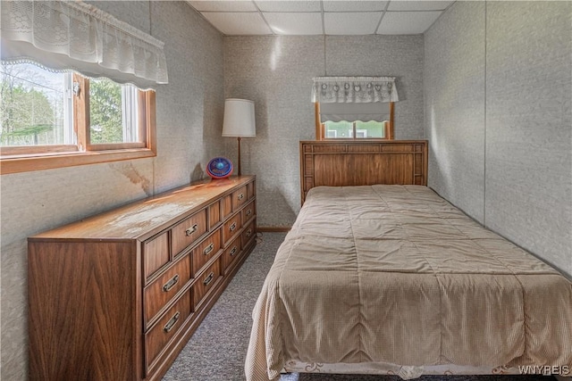 4609 E Lake Rd, Wilson, NY 14172 - bedroom featuring a paneled ceiling and carpet