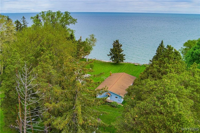 4609 E Lake Rd, Wilson, NY 14172 - view of subject property featuring a large body of water