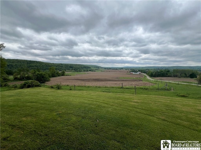 319 Ericsson Rd, Poland, NY 14747 - view of green lawn with a rural view