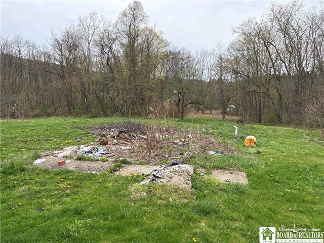 3787 Killbuck Rd, Great Valley, NY 14748 - photo 15