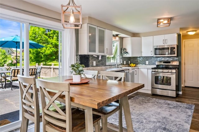 dining room with healthy amount of natural light and dark wood-style floors