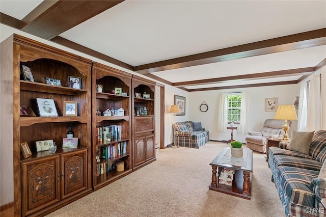 104 Hillside, Camillus, NY 13031 - living room with carpet, beam ceiling, and baseboards