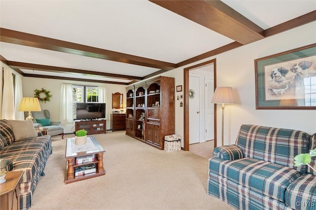 104 Hillside, Camillus, NY 13031 - living room featuring beam ceiling and light colored carpet