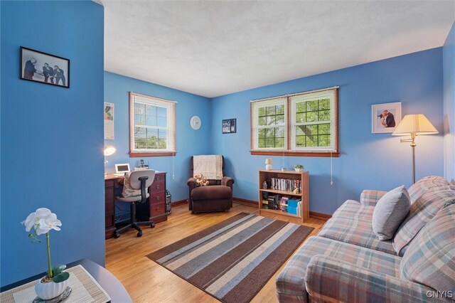 104 Hillside, Camillus, NY 13031 - office space with wood finished floors and baseboards
