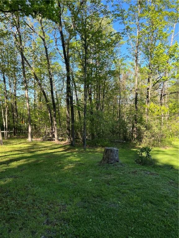4600 College Ave, Corning, NY 14830 - view of green lawn