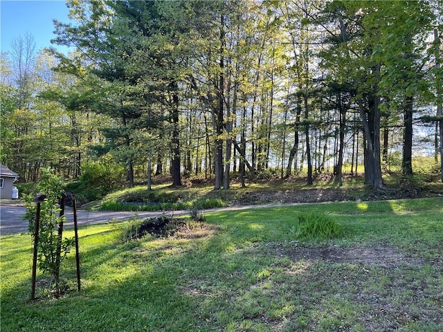 4600 College Ave, Corning, NY 14830 - view of green lawn