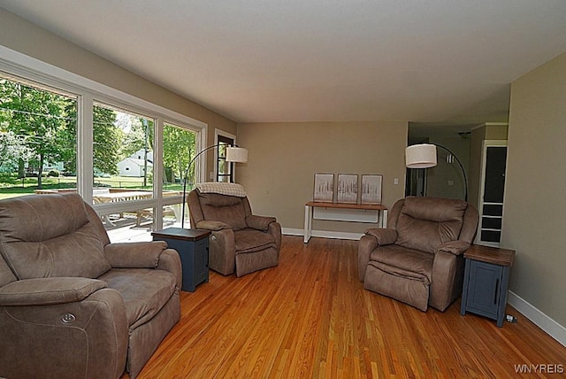 458 Kenwood Dr, Lewiston, NY 14092 - living room featuring light wood finished floors and baseboards