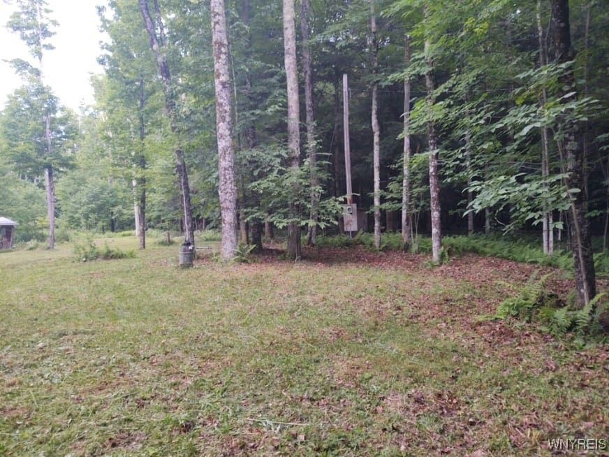 449 Wood Rd, Harpersfield, NY 12093