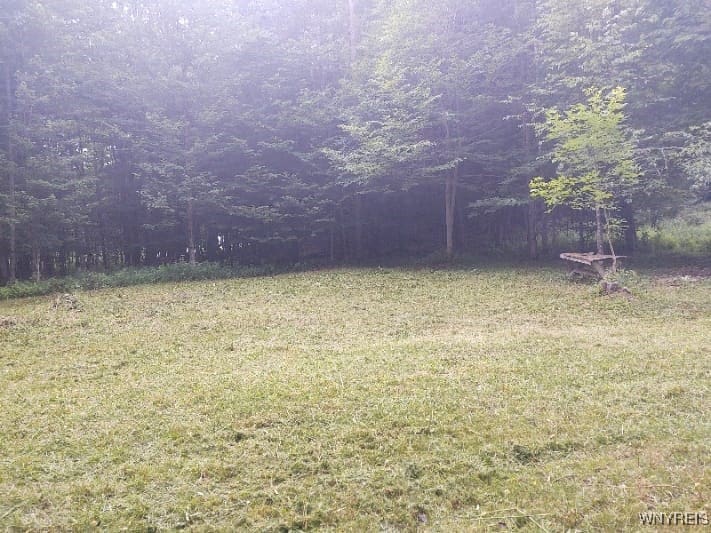 449 Wood Rd, Harpersfield, NY 12093