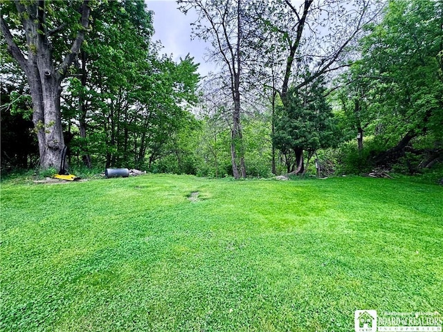 108 S Main St, Evans, NY 14006 - view of grassy yard