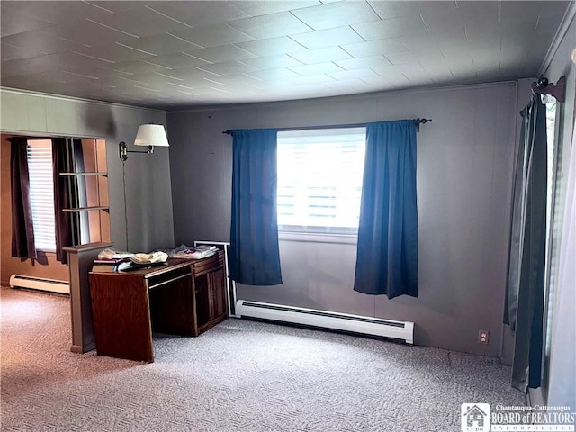108 S Main St, Evans, NY 14006 - carpeted office featuring a baseboard radiator