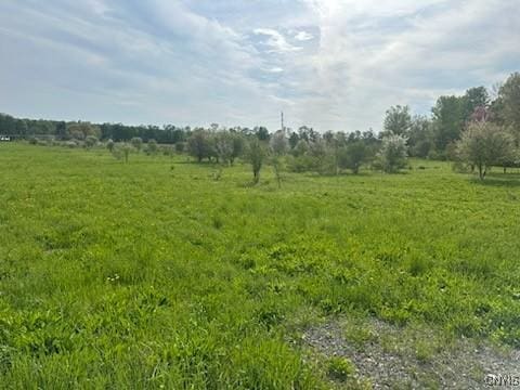 9124 Turin Rd, Lee, NY 13440 - photo 1
