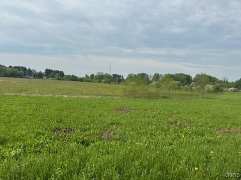 9124 Turin Rd, Lee, NY 13440 - photo 5