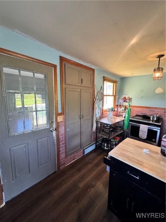 2746 Johnson Creek Rd, Hartland, NY 14105 - foyer featuring dark wood-style flooring and a baseboard heating unit
