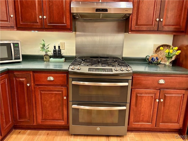 kitchen featuring under cabinet range hood, stainless steel appliances, dark countertops, and light wood-type flooring