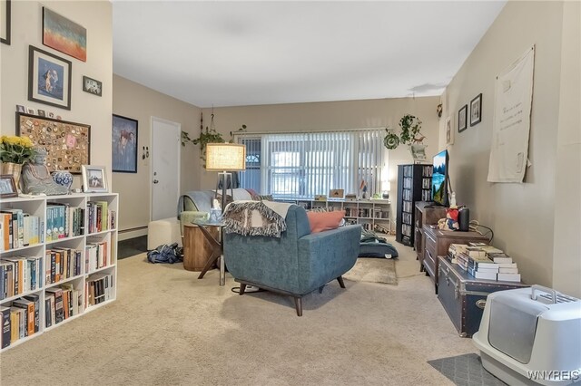 1681 Amherst St, Buffalo, NY 14214 - carpeted living area with a baseboard heating unit