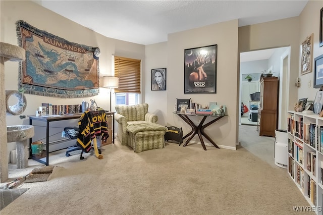 1681 Amherst St, Buffalo, NY 14214 - view of carpeted office