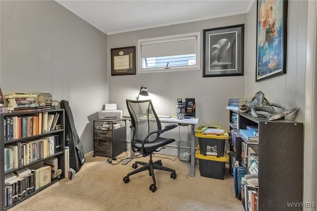 1681 Amherst St, Buffalo, NY 14214 - office featuring carpet and ornamental molding