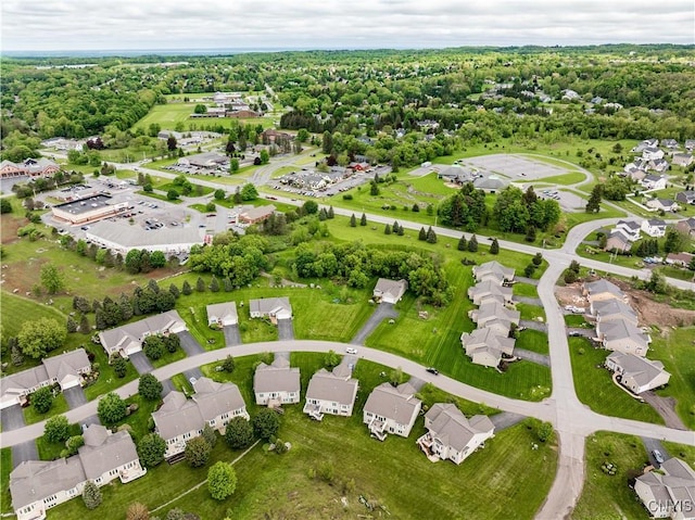 146 Edwards Falls Ln, Manlius, NY 13104 - aerial view of residential area